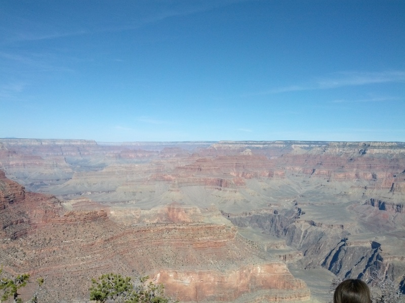 IMG_20130313_100755.jpg